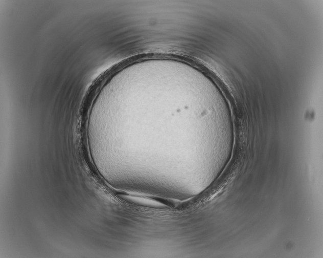 X0000094080971200711091211