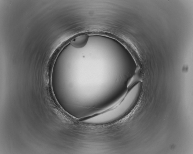 X0000094080973200711091211