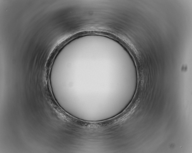 X0000094080974200711091211