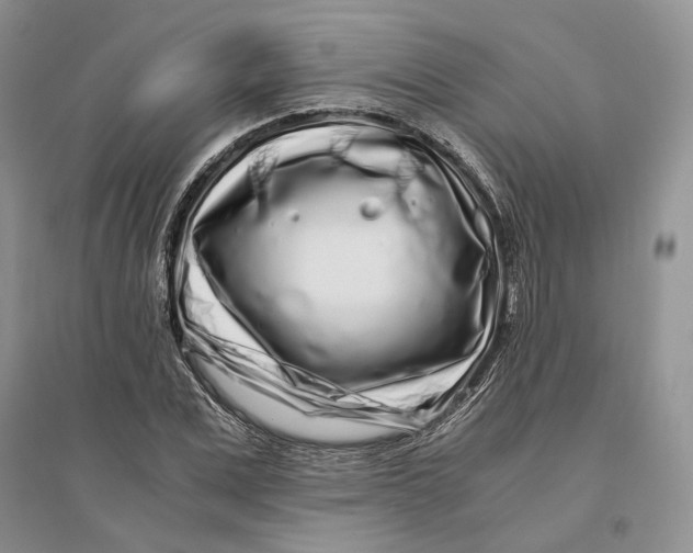 X0000094080975200711091211