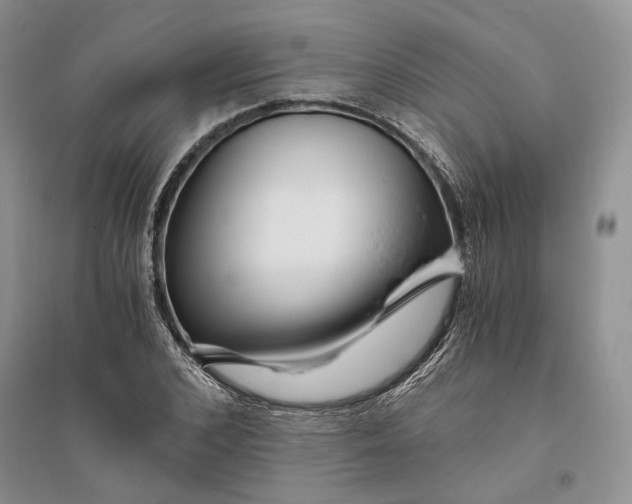 X0000094080976200711091211