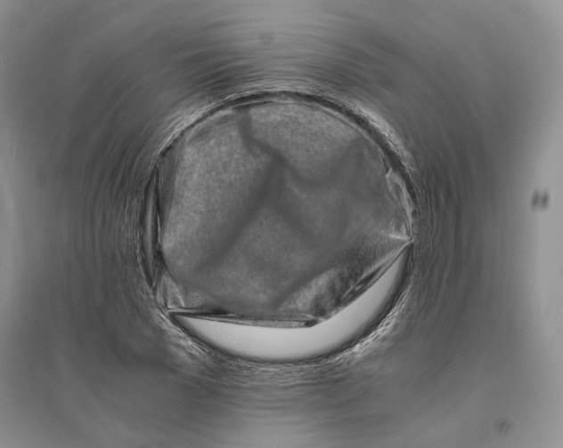 X0000094080977200711091211