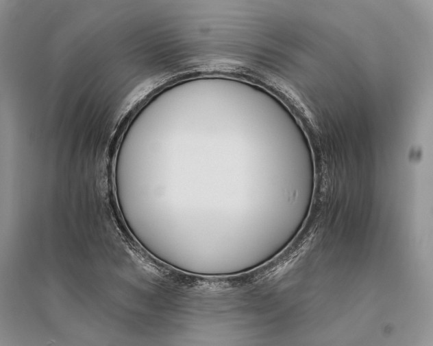 X0000094080978200711091211
