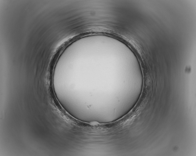 X0000094080979200711091211