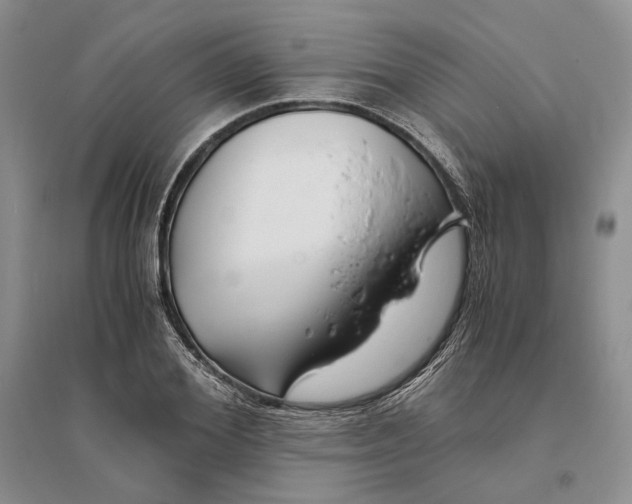 X0000094080980200711091211