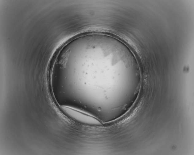 X0000094080981200711091211