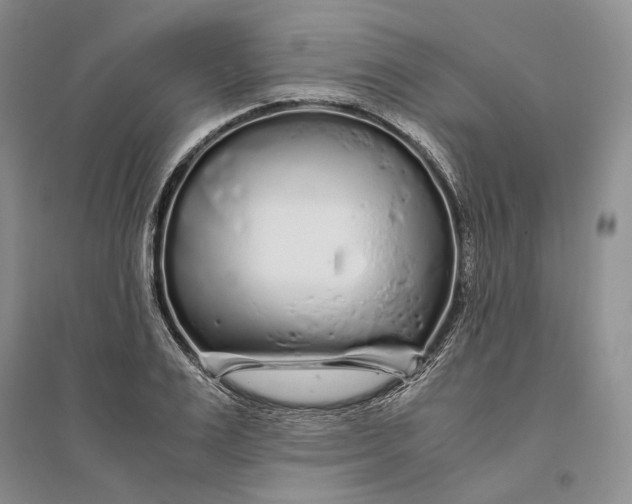 X0000094080983200711091211