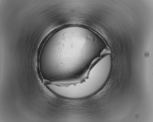 X0000094080984200711091211