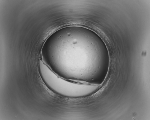 X0000094080985200711091211