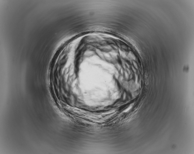 X0000094080987200711091211