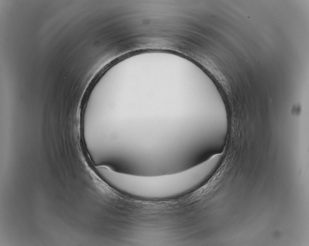 X0000094080988200711091211