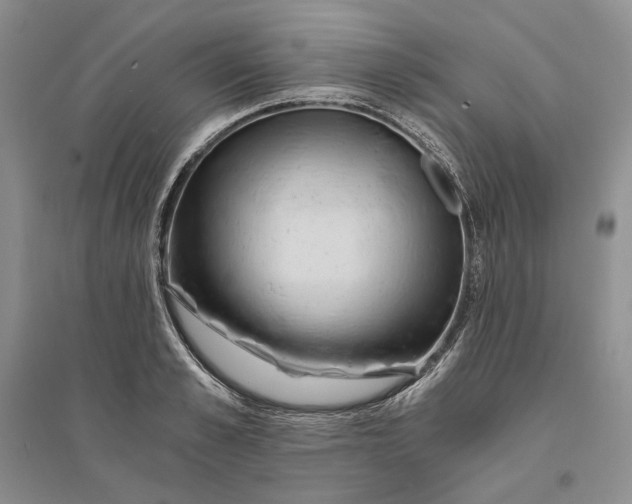 X0000094080989200711091211