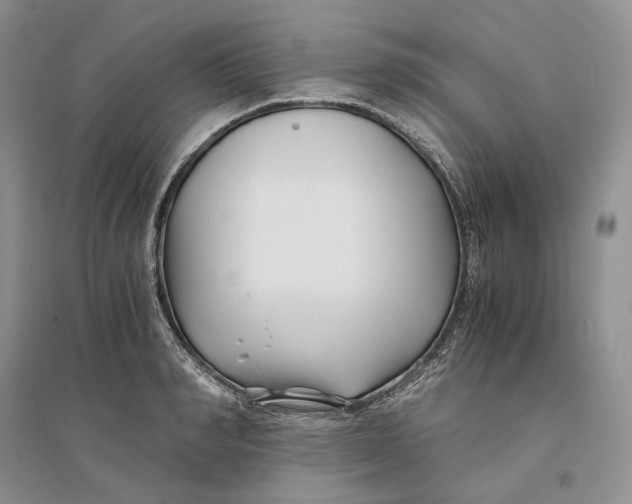 X0000094080990200711091211