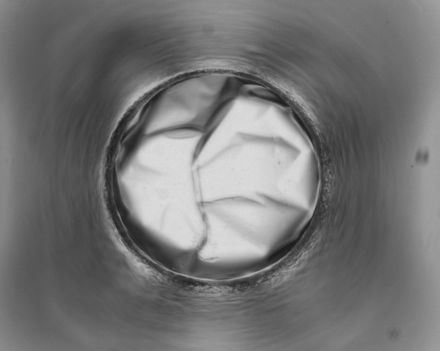 X0000094080991200711091211