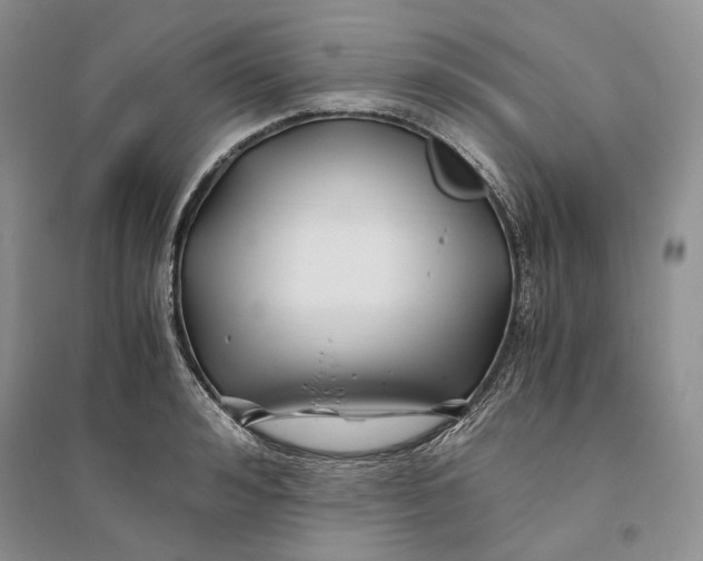 X0000094080992200711091211