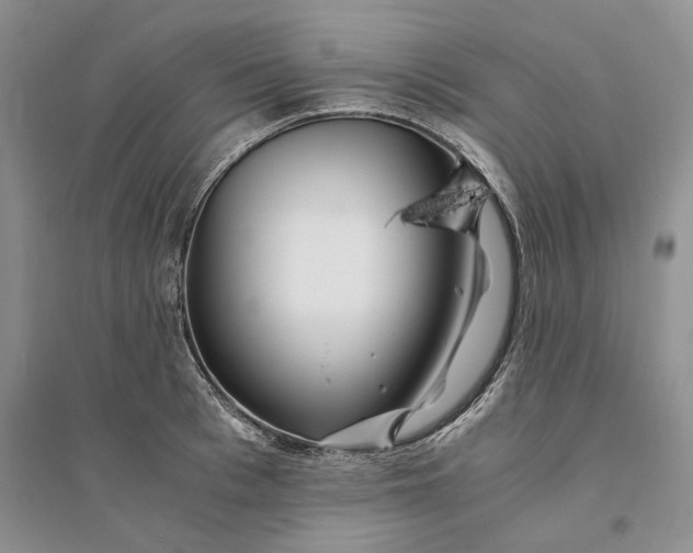 X0000094080993200711091211