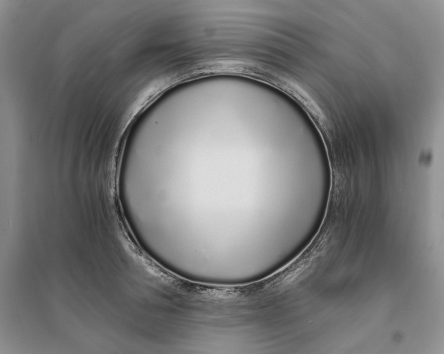 X0000094080994200711091211