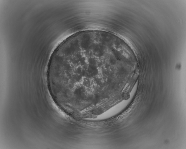 X0000094080995200711091211