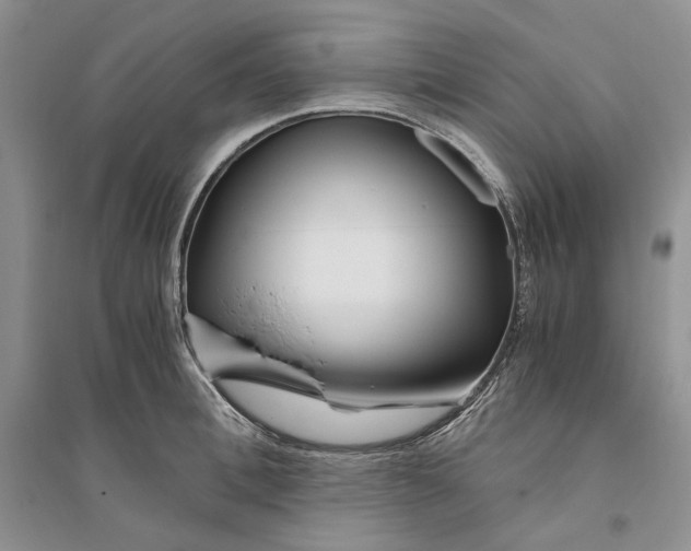 X0000094080996200711091211