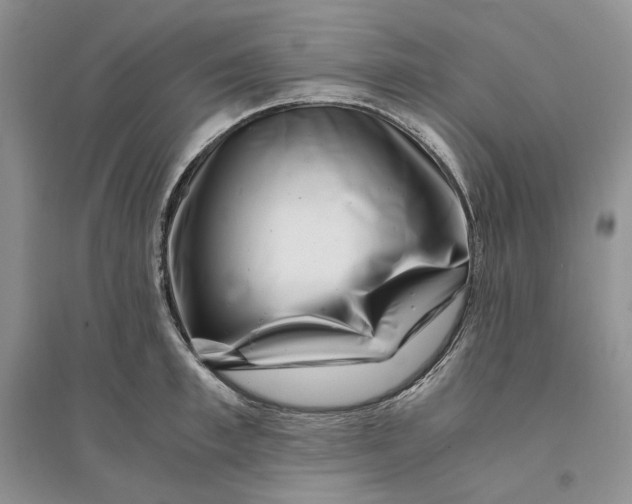 X0000094080997200711091211
