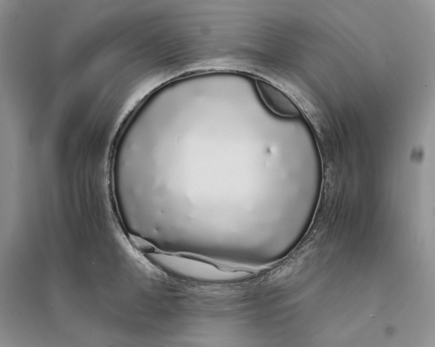 X0000094080998200711091211