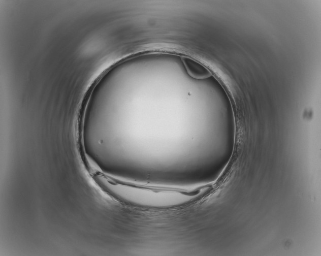 X0000094080999200711091211