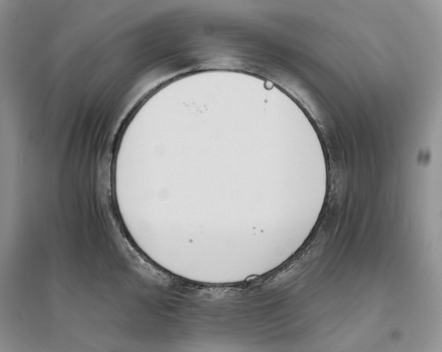 X0000094081000200711091211
