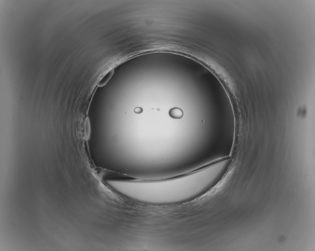 X0000094081001200711091211