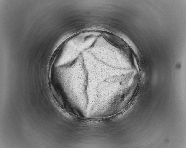 X0000094081002200711091211