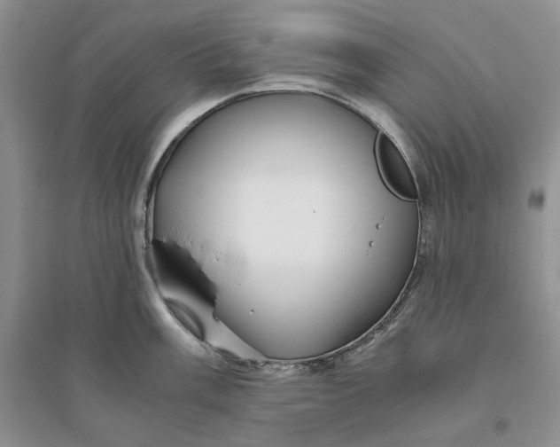 X0000094081003200711091211