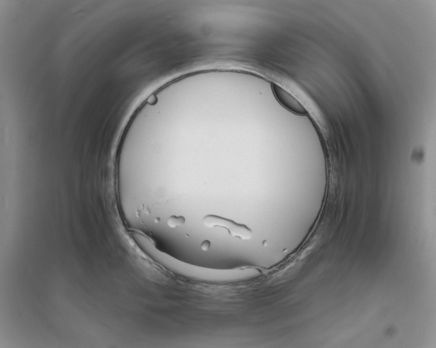 X0000094081004200711091211