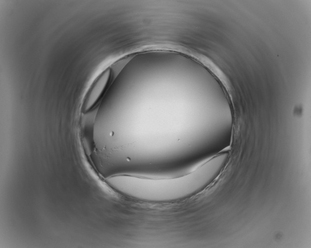 X0000094081005200711091211