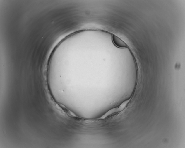 X0000094081008200711091211