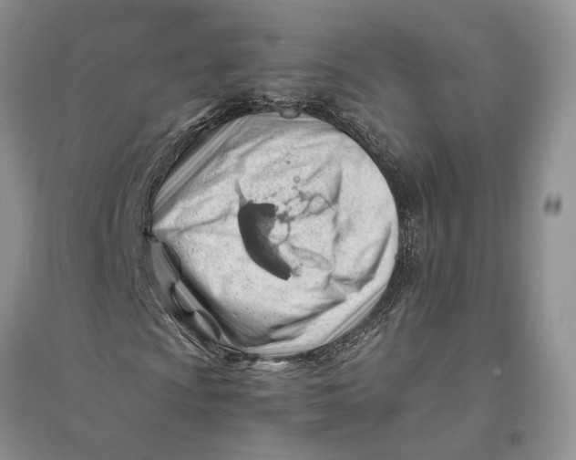 X0000094081009200711091210