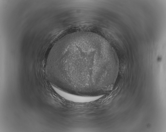 X0000094081010200711091210