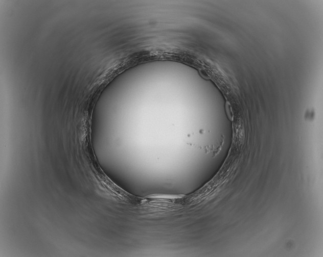 X0000094081012200711091210