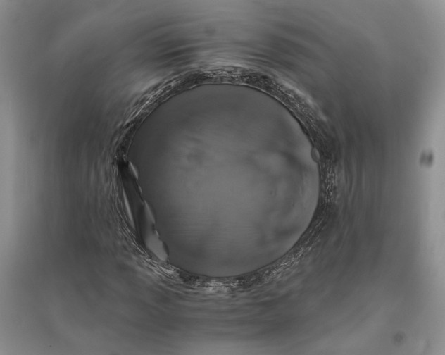 X0000094081013200711091210