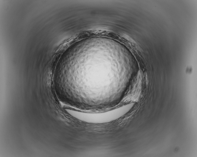 X0000094081014200711091210