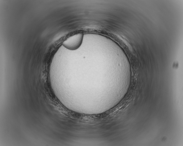 X0000094081015200711091210
