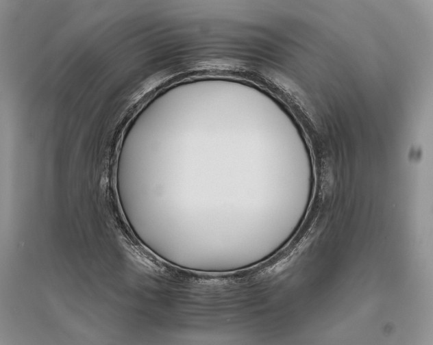 X0000094081017200711091210