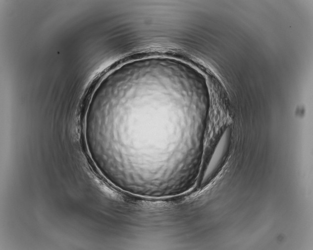 X0000094081018200711091210