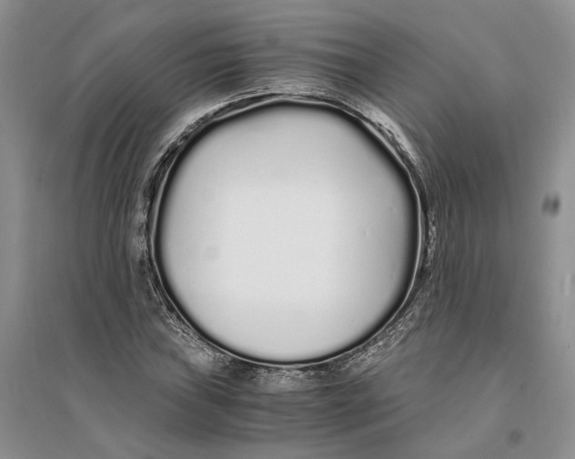 X0000094081019200711091210