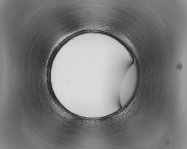 X0000094081020200711091210