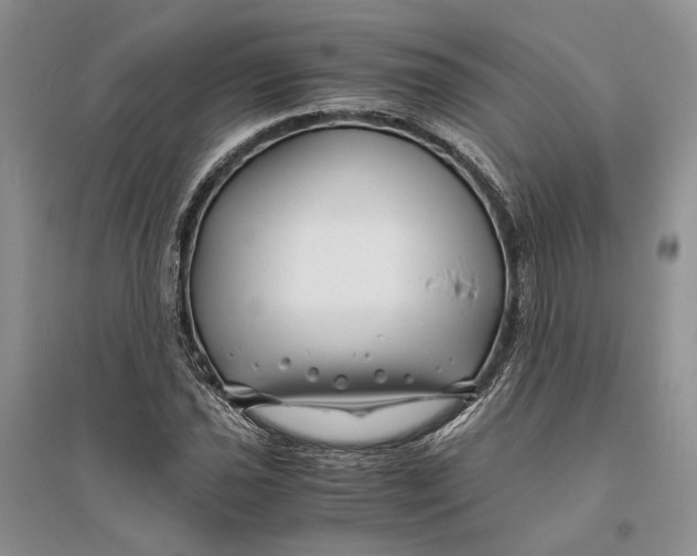 X0000094081021200711091210