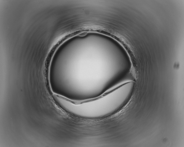 X0000094081022200711091210