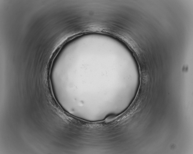 X0000094081023200711091210