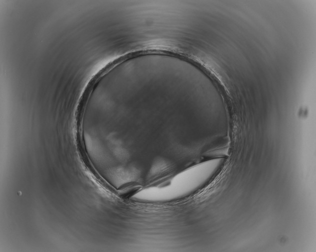 X0000094081024200711091210