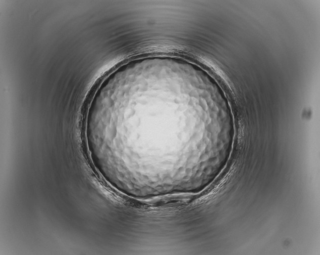 X0000094081026200711091210