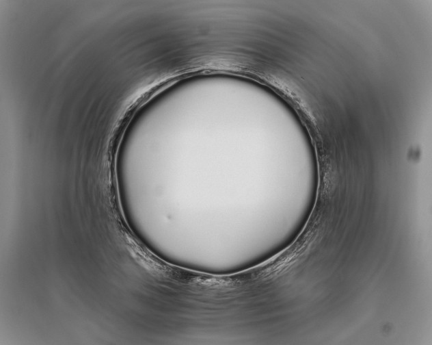 X0000094081027200711091210