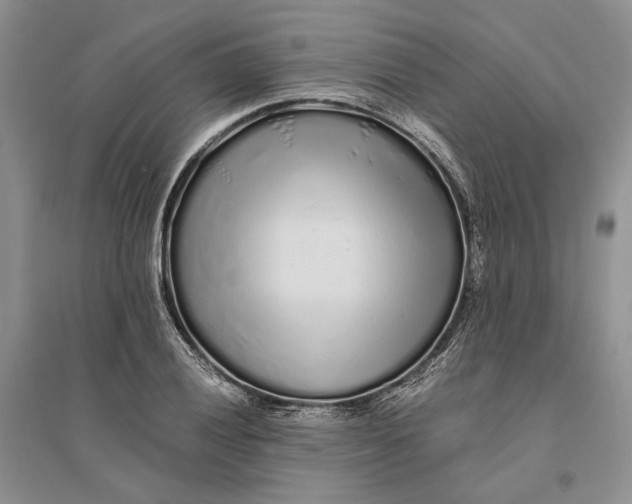 X0000094081028200711091210